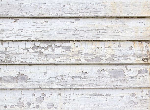 Best Historical Building Siding Restoration  in Maurice, LA