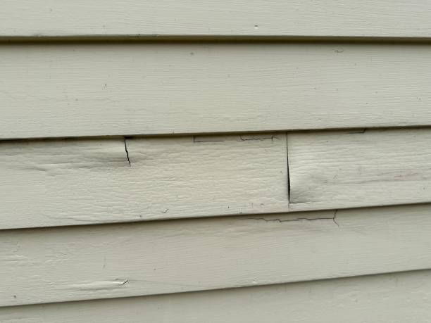 Storm Damage Siding Repair in Maurice, LA